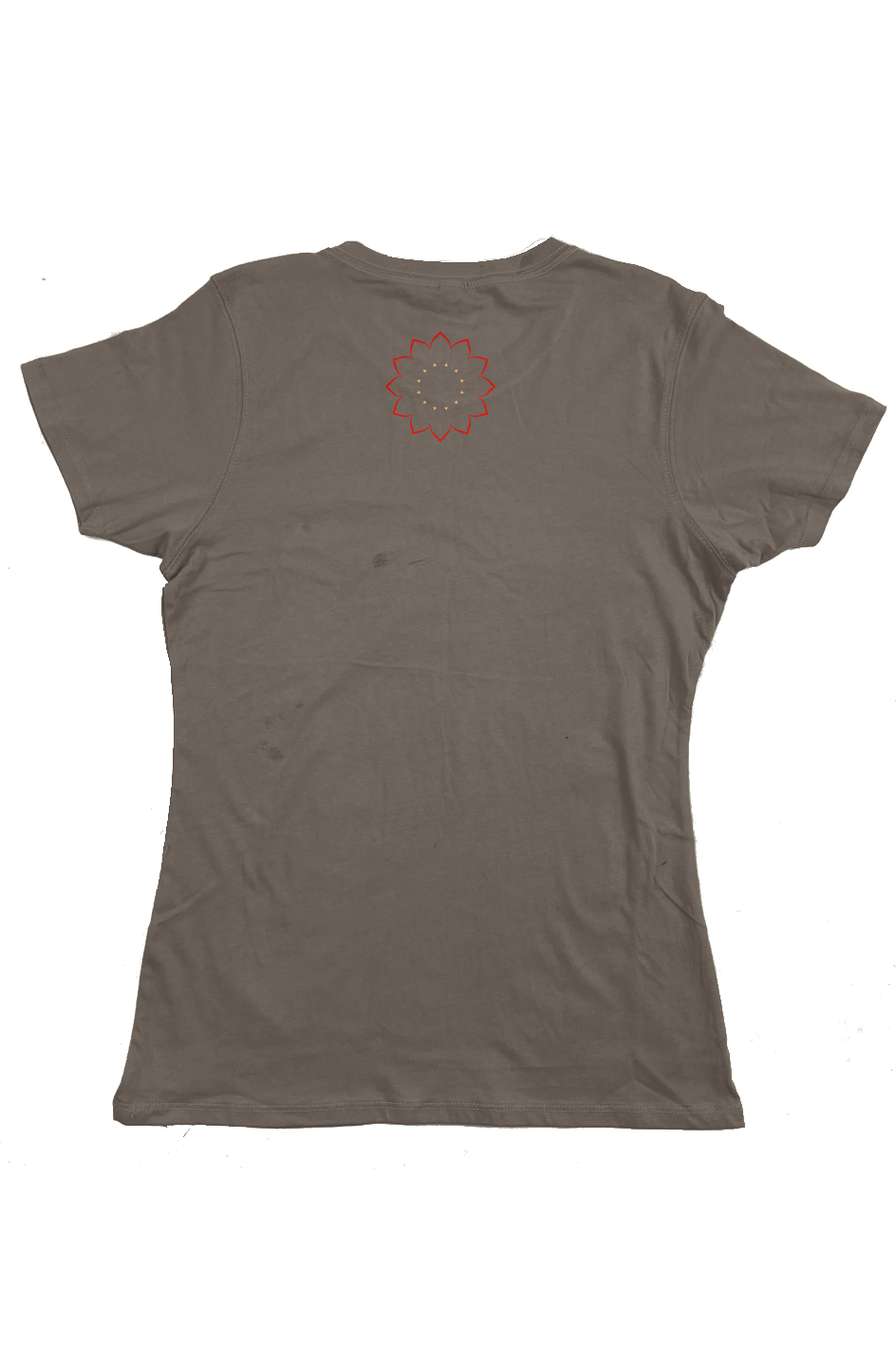 Living the Sunlife Organic Womens Classic T Shirt - Dark