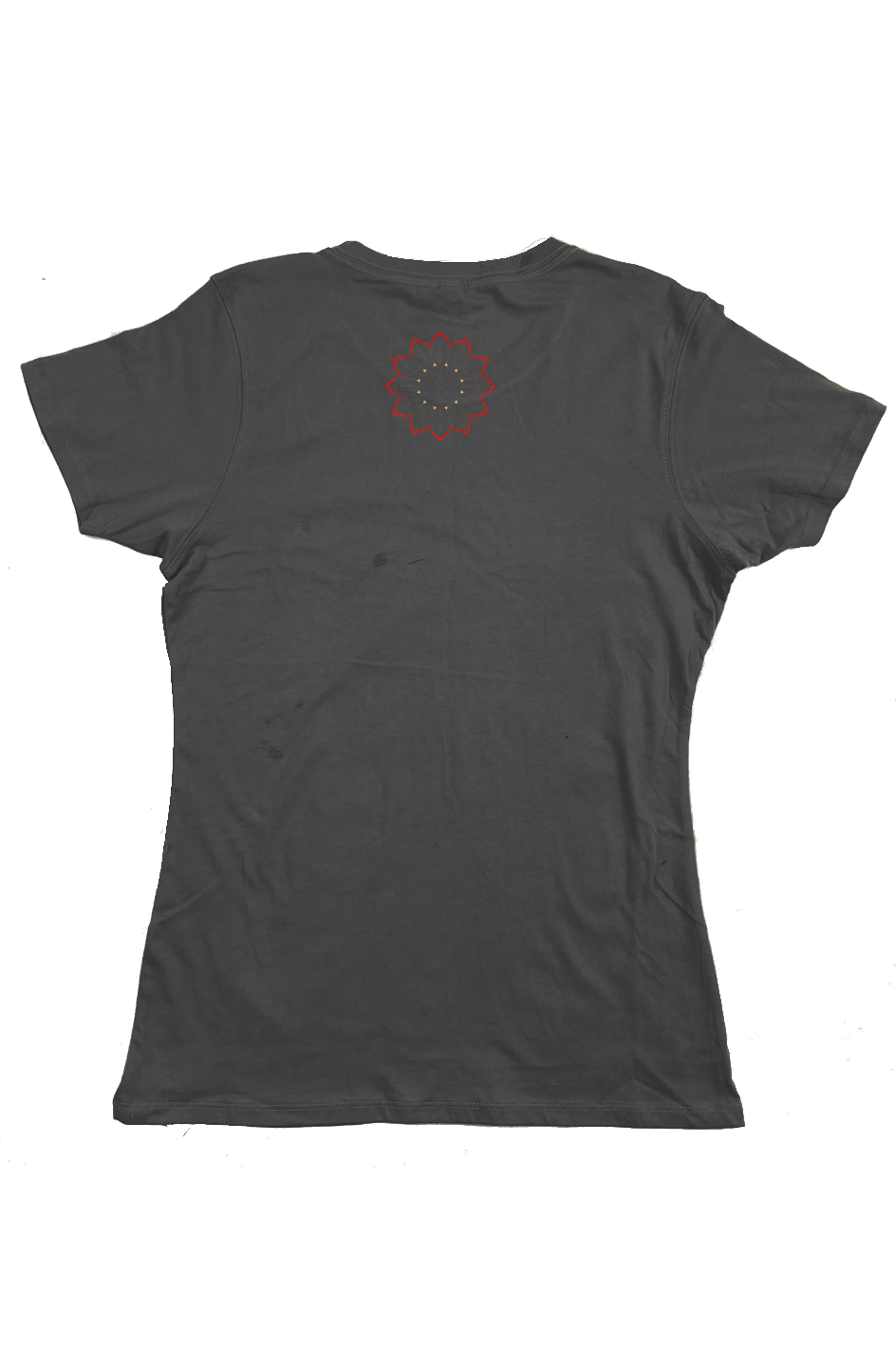 Living the Sunlife Organic Womens Classic T Shirt - Dark