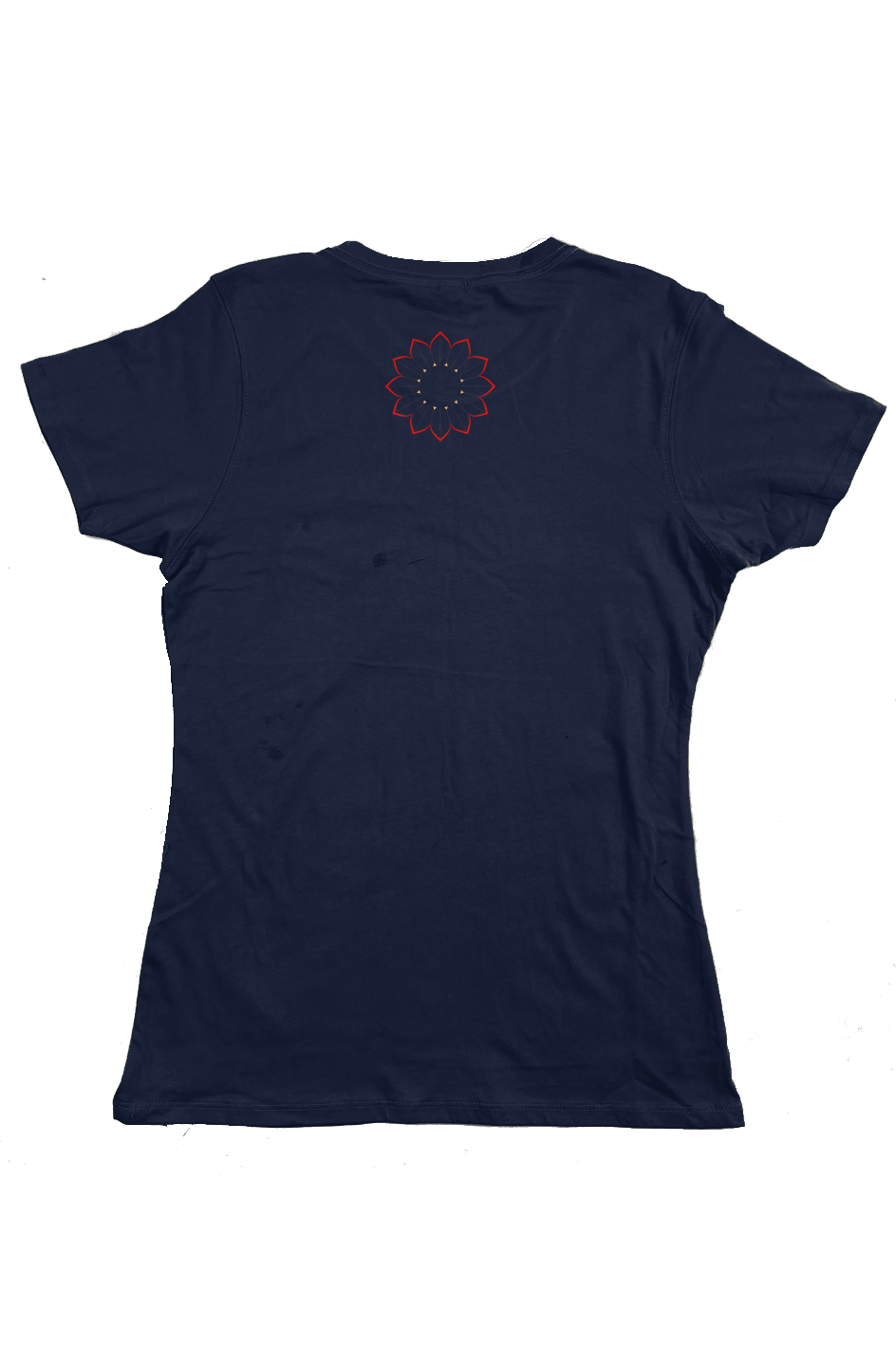 Living the Sunlife Organic Womens Classic T Shirt - Dark